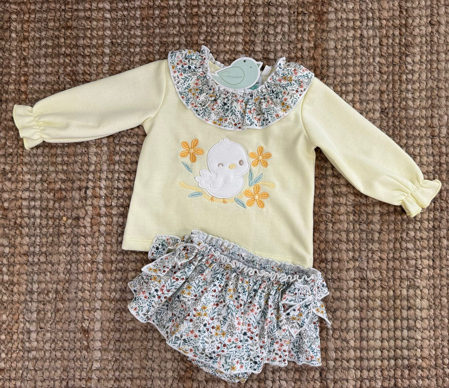 Conjunto pollito